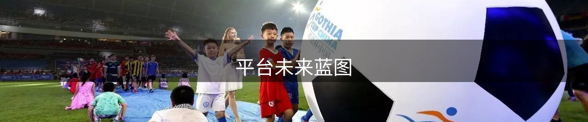 平台未来蓝图